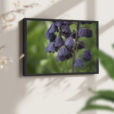 Aubergine -Framed Print - Restickable
