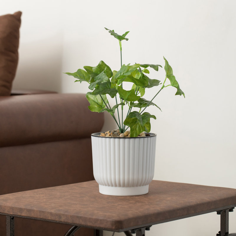 Ceyla Pot Planter