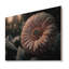 Une fleur de gerbera rose en hiver III - Impression sur toile-38037492-38037495
