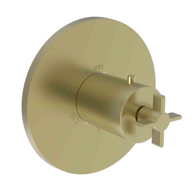 Tolmin 3/4" Round Thermostatic Trim Plate With Handle