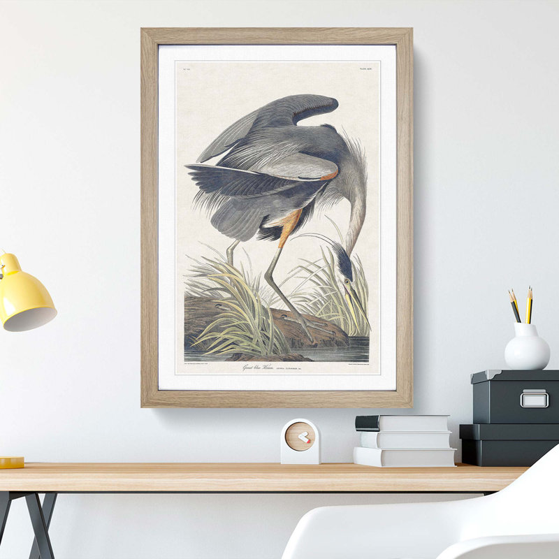 Great Blue Heron by John Audubon - Picture Frame Painting Print, 48cm H x 36cm W x 2cm D, Oak Framed