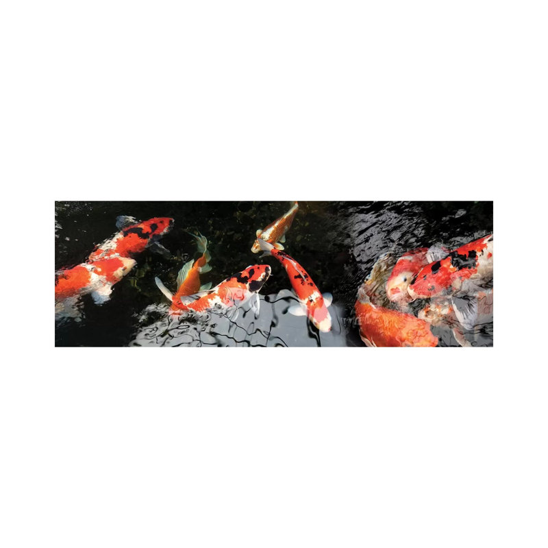 Colourful Koi Fish I by Panoramic Images - Wrapped Canvas Panoramic Print, 30.48 cm H x 91.44 cm W x 1.91 cm D