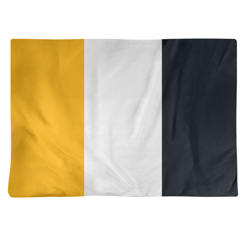 Récapitulatif en coton 18 po football Pittsburgh, Blanc