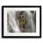 Black Framed Paper selected