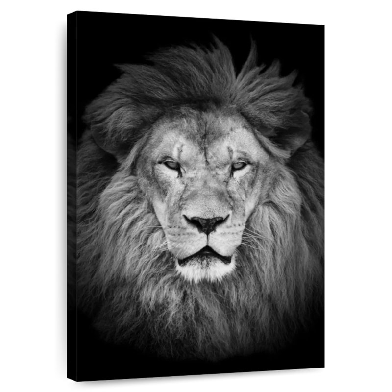 Brampt Alpha Lion Head, 39" H x 26" W