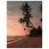 Wrapped Canvas