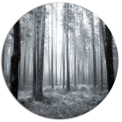 «Black and White Foggy Forest», reproduction de photo sur métal