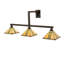 Prairie Corn 3 - Light Armed Sconce