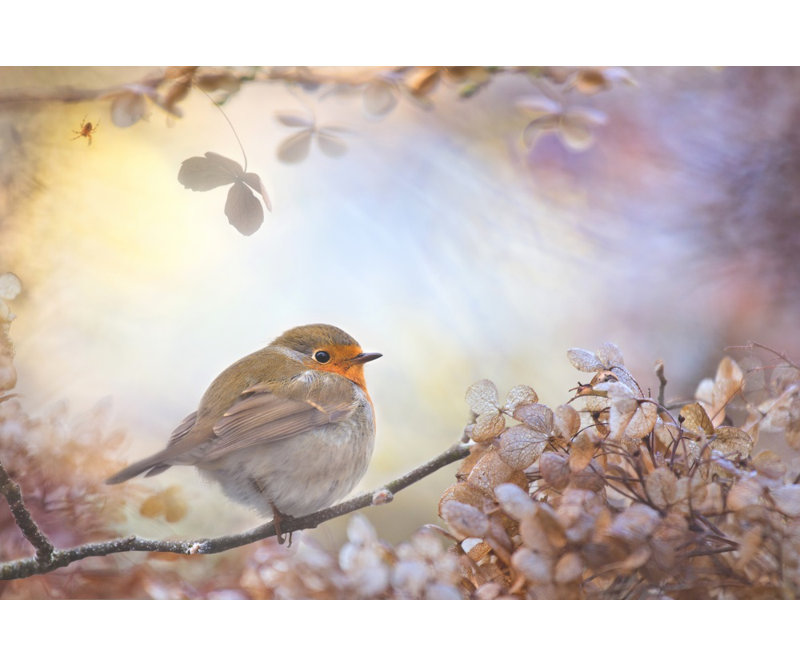 Wrapped Canvas Print, 50.8 cm H x 76.2 cm W