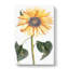 Sunflower by Johan Teyler - Wrapped Canvas-55318870