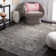 Patrick Performance Oriental Rug
