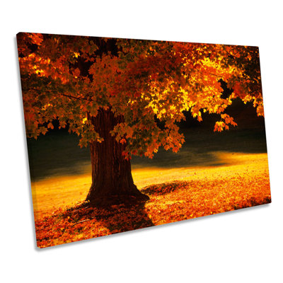 Floral Autumn Orange Tree - Wrapped Canvas Art Prints