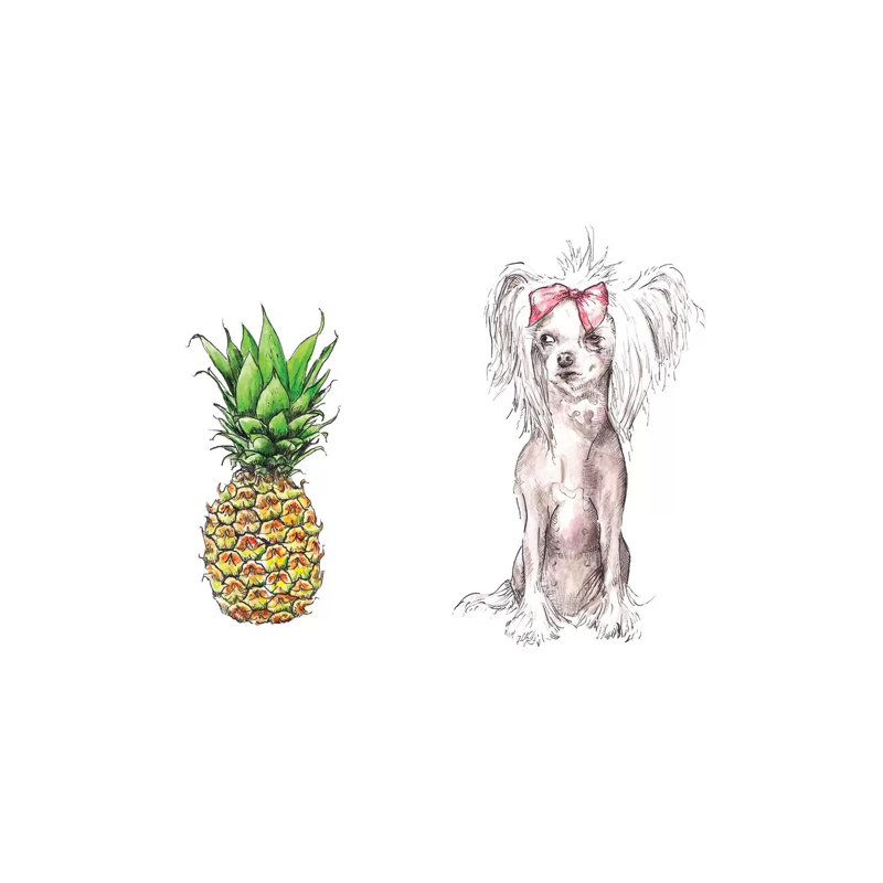 Chinese Crested And Pineapple With The Same Haircut by Wandering Laur - Wrapped Canvas Gallery-Wrapped Canvas Giclée