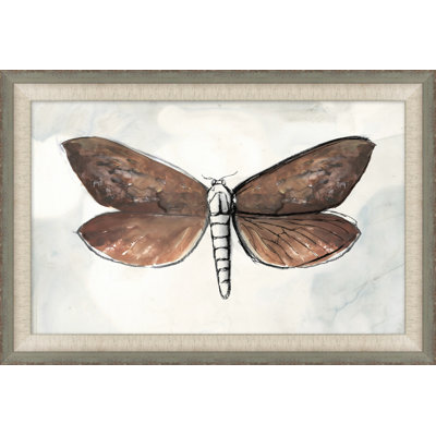 Painted Butterfly Diagram 2 Painting