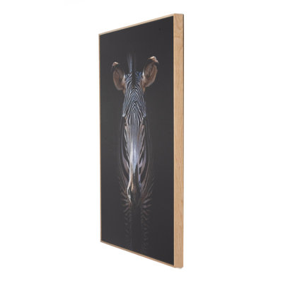 Zebra Stare Framed Photographic Print