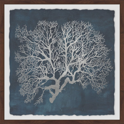 " Inverse Sea Fan VI "