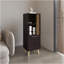 Armoire 47 "de haut à une porte avec deux tablettes ouvertes Wengue foncé - noir Vance