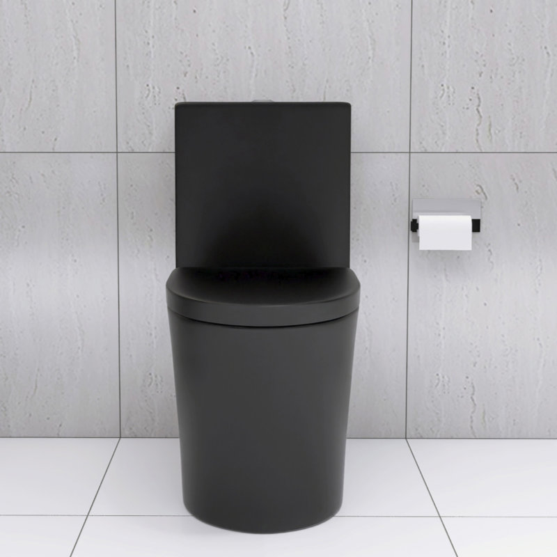 Elongated One Piece Toilet Dual Flush 1.1/1.6 GPF Water Saving Comfort Seat Height, Map 1000G, Matte Black