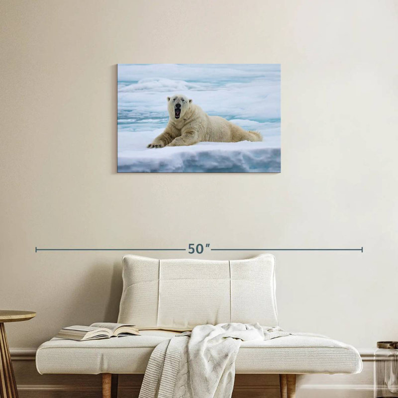 L'ours polaire Brampt se réveille
