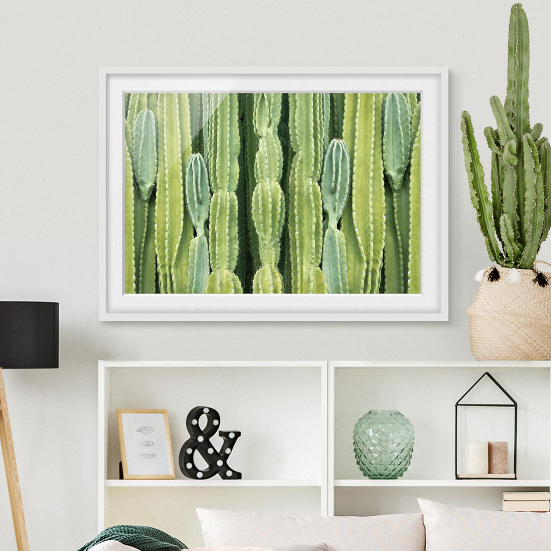 Gerahmtes Poster Cactus Wall