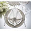 Silver Rush Placemat