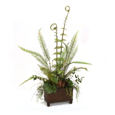 45'' Faux Fern Plant in Wicker/Rattan Basket
