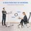 Shaunea Adjustable Standing Desk-708822809