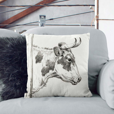 Square Throw Cushion