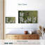 Ronce dans le jardin-107854797