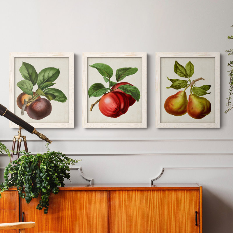 Antique Fruit IX - Ensemble de 3 peintures sur toiles encadrées, Blanc, H 20 po x l 51 po x P 1,5 po