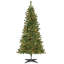 Grand sapin canadien avec lumières claires-850844492