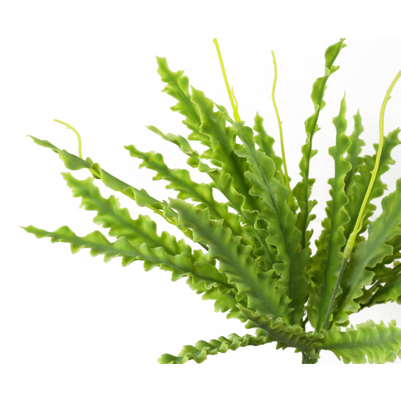 Andwele Arrangement