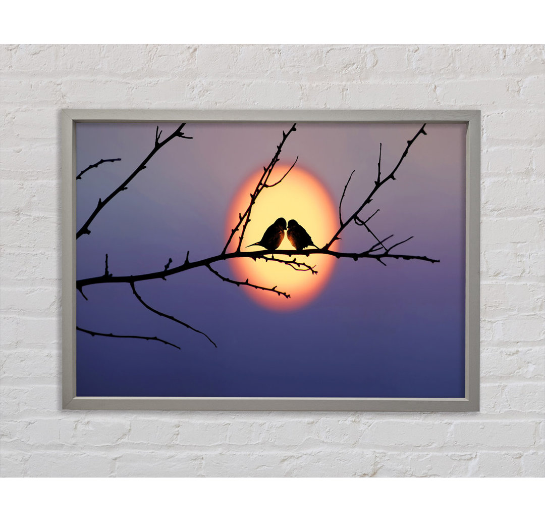 Love Bird Sunset - Einzelner Bilderrahmen Kunstdrucke auf Leinwand