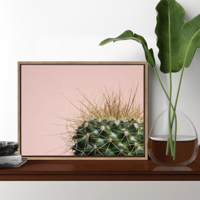 Cactus 1 by Emiko and Mark Franzen F2Images Framed Canvas Wall Art Print