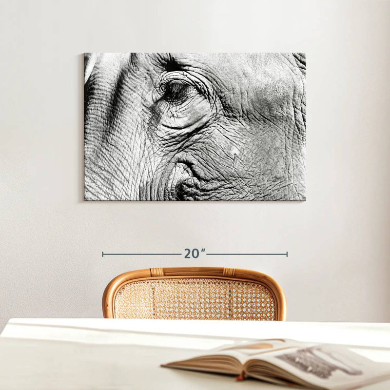 Brampt Elephant Close Up BW, 16" H x 24" W