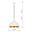 Luminaire suspendu simple en dôme à hauteur ajustable