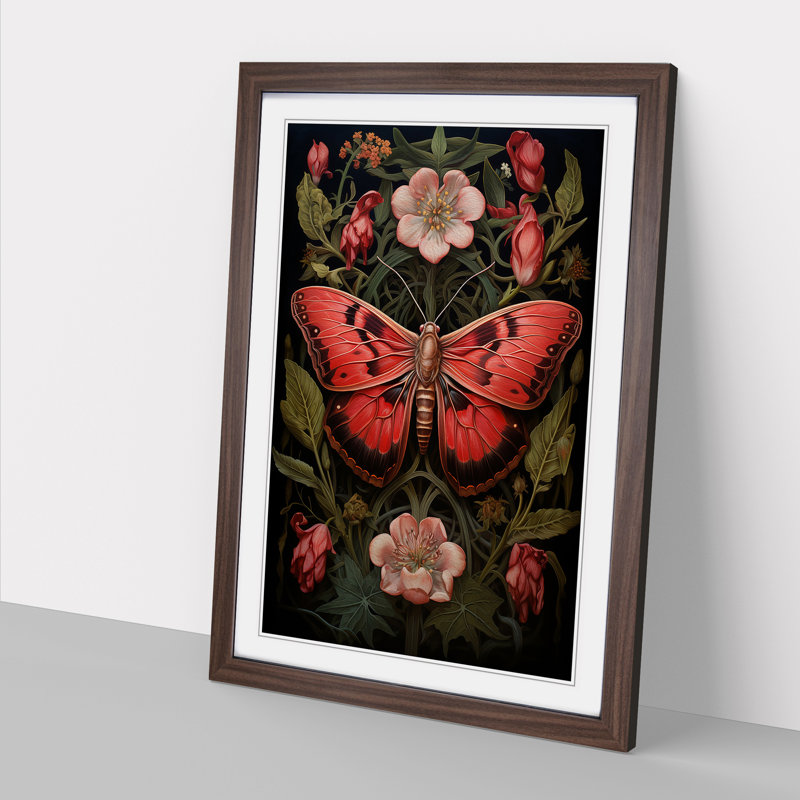 Moth Realism - Single Picture Frame Print on Wood, Walnut Framed, 64cm H x 46cm W x 2cm D