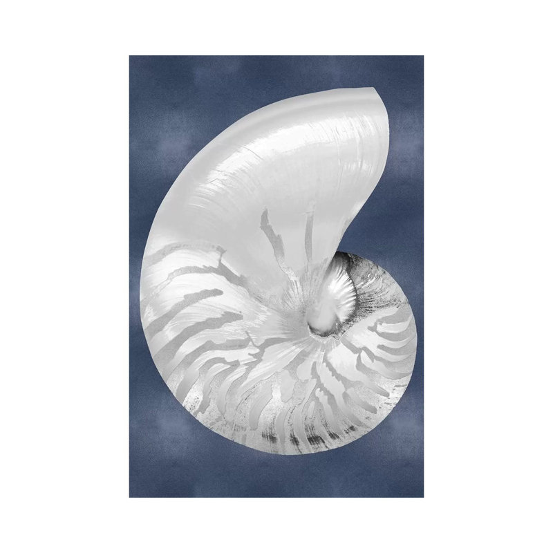 Silver Shell On Indigo Blue II by Caroline Kelly - Wrapped Canvas Print, 30.48cm H x 20.32cm W x 1.905cm D