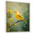 Floater Framed Print selected