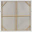 Edianna sur toile