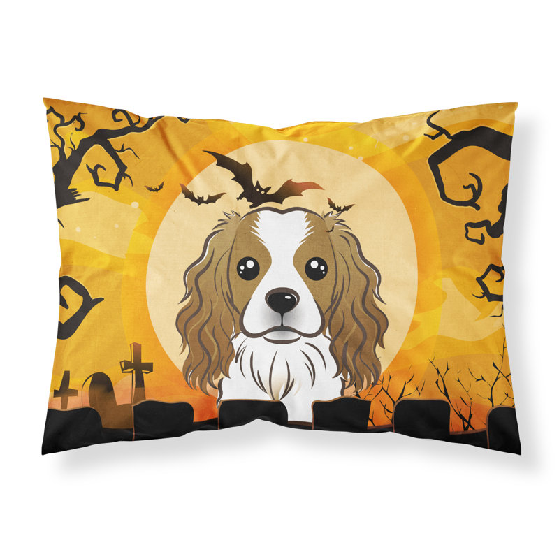Microfiber, Cavalier Spaniel