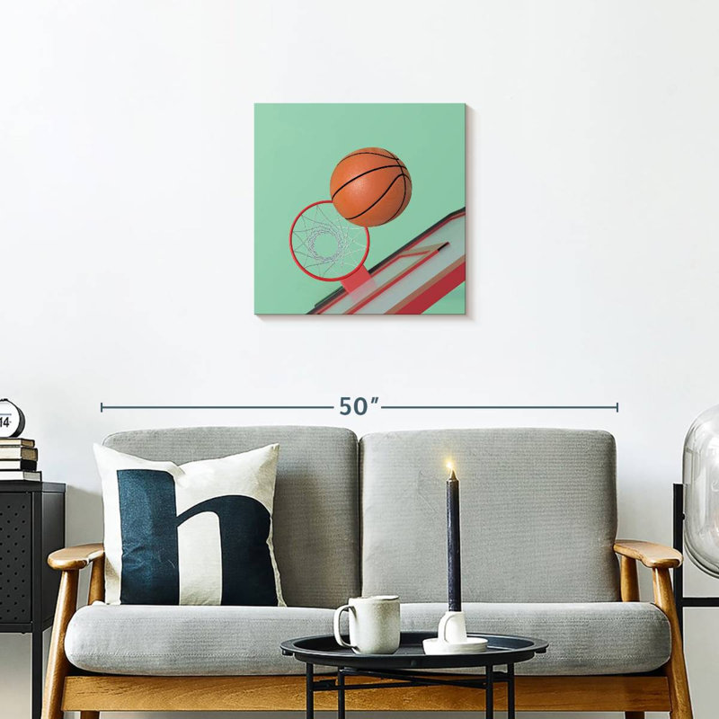 Sirci dans le panier de basketball, H 20 po x l 20 po