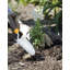 Outils à main de jardin et pot à fleurs en résine grise