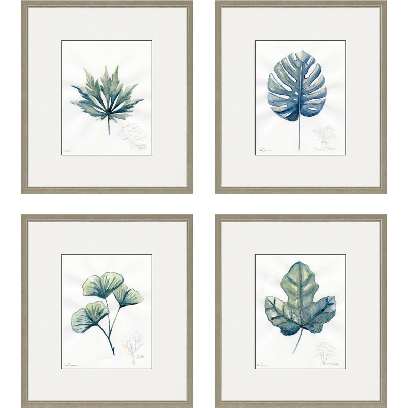 «Plant Dessins S / 4», ensemble de 4 reproductions de cadres photo simples