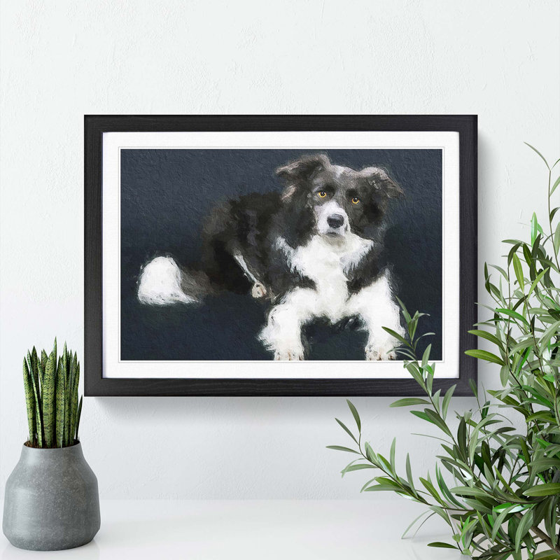 Resting Border Collie Dog - Picture Frame Painting Print, 27cm H x 36cm W x 2cm D, Black Framed