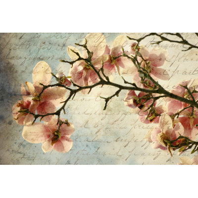 Magnolia Memories by Andipantz - Wrapped Canvas Print