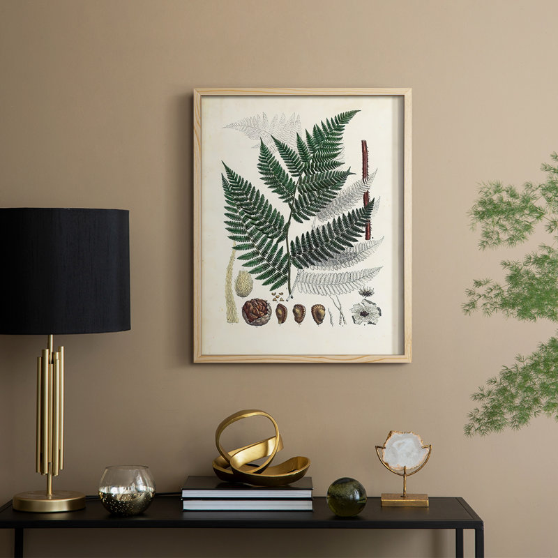 Collection de fougères IV, reproduction encadrée - bois massif, H 11 po x l 9 po