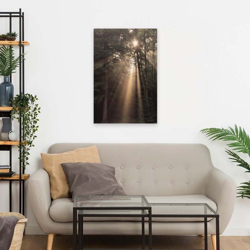 Enlighten Your Soul - Photographie contemporaine, paysage, arbres, H 16 po x l 24 po