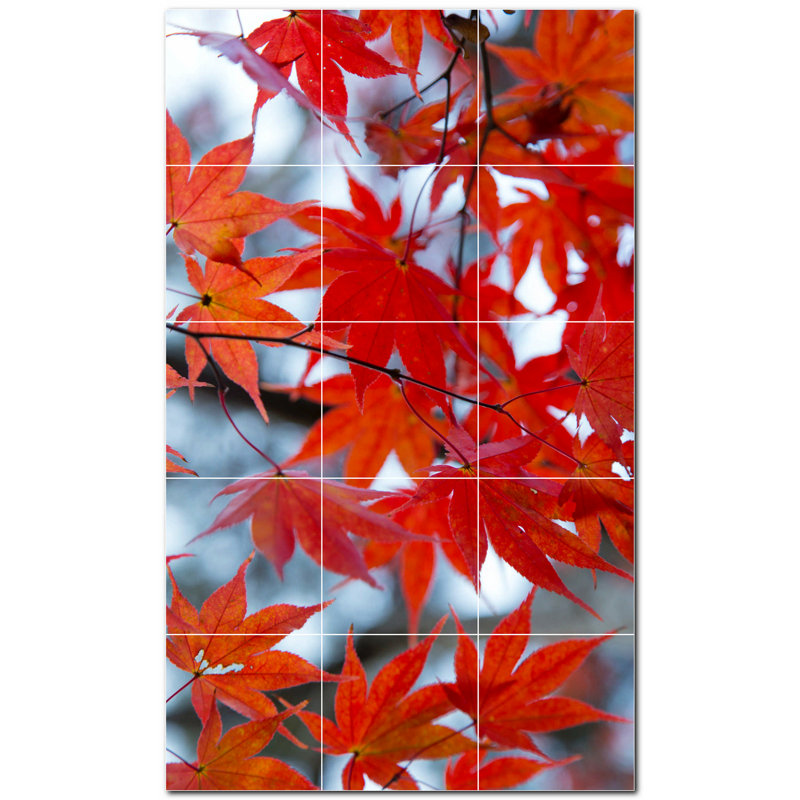 Photo d'automne 8 x 8