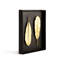 Champa Leaf Shadow Box-60151830